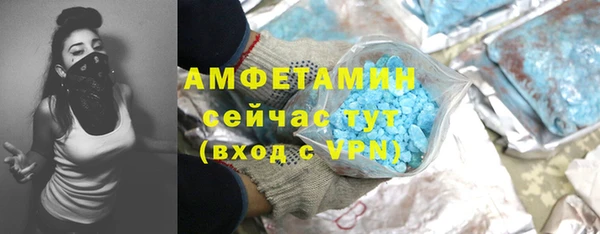 прущие грибы Снежинск