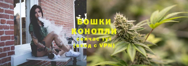 бошки Слюдянка