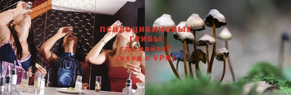 PSILOCYBIN Шадринск