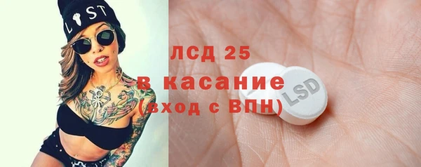 прущие грибы Снежинск