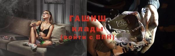 прущие грибы Снежинск