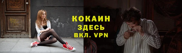прущие грибы Снежинск