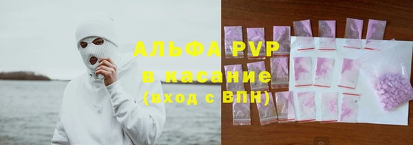 хмурый Шали