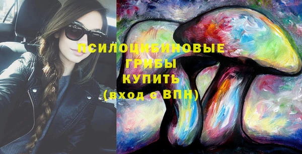 бошки Слюдянка