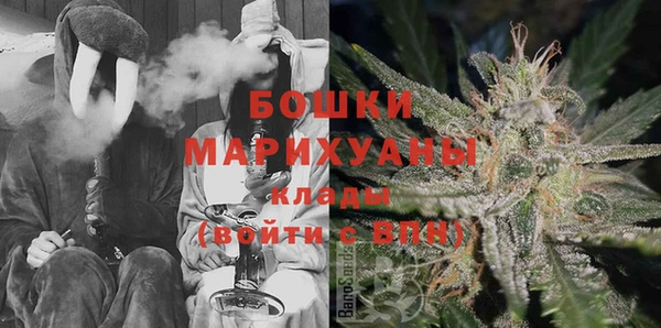 прущие грибы Снежинск