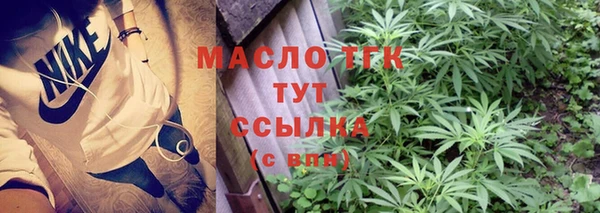 хмурый Шали