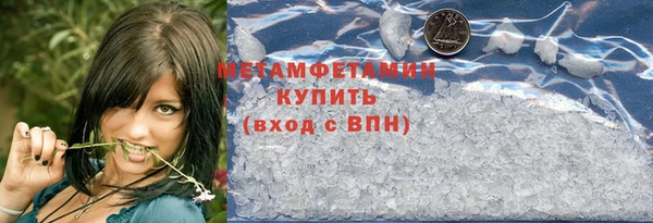 прущие грибы Снежинск