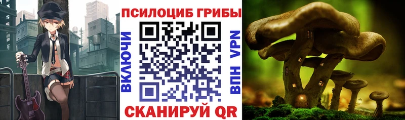 Галлюциногенные грибы мухоморы  Якутск 