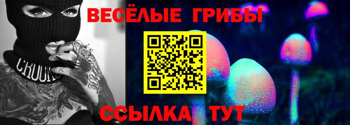 закладки  Вход с VPN  Якутск  Псилоцибиновые грибы прущие грибы  Галлюциногенные грибы GOLDEN TEACHER 