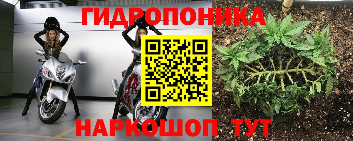 Бошки Шишки марихуана  Марихуана гибрид  Шишки марихуана конопля  Вход с VPN  МАРИХУАНА конопля  Якутск 